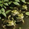 AI generated image of several green coloured frogs in a pond