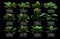 The ai-generated image shows a variety of air-purifying plants arranged in pots.