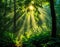 AI generated image of a sunrays passing through the green leaves and trees in a dense forest