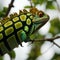 AI generated images of a colourful Chameleon perched on a tree branch