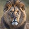 AI generated lion lounging in a grassy field