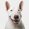 ai generated portrait of dog breed Bull Terrier cute happy excited smiling