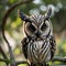 AI generated realistic image of a brown spotted owl