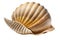 AI generated sea shell