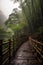 Ai generated serene wooden walkway amidst a lush forest