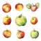 Ai generated set of colorful watercolor apples, green and red, fruits isolated on white background.