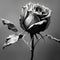 AI generated single rose in black and white