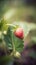 AI generated Strawberry growing in the garden. Selective focus