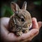 AI-Generated Tiny Bunny in Human Hand - Adorable and Lifelike