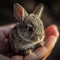 AI-Generated Tiny Bunny in Human Hand - Adorable and Lifelike