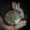 AI-Generated Tiny Bunny in Human Hand - Adorable and Lifelike