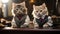 AI-Generated: Two Cats Sitting at a Table, Cat Dressed as Bankers, Insurers, Office Employees