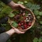 AI generated Woman& x27;s hands holding a basket with wild mushrooms and strawberries in the forest