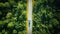 AI Generative. Aerial view of a mountain road, cars through summer green woods