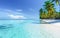 AI generative. Beautiful beach and tropical sea