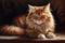 Ai Generative Beautiful red Maine Coon cat with green eyes lying on wooden floor