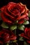 AI generative close-up red roses with small drops of water