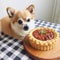 AI generative Cute dog with meat tart on a wooden tray