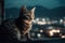 Ai Generative Cute little kitten with blue eyes looking at the city at night