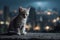 Ai Generative Cute little kitten with blue eyes looking at the city at night
