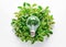 Ai generative. Eco friendly light bulb with green leaves