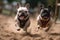 Ai Generative French bulldogs running in a race, selective focus on the dog