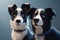 Ai Generative Funny dogs. Border Collie and Border Collie on blue background