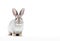 Ai generative. Funny rabbit on white