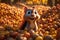Ai Generative Funny squirrel sitting in a bowl of hazelnuts and looking at the camera