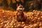 Ai Generative Funny squirrel sitting in a bowl of hazelnuts and looking at the camera