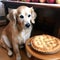 AI generative Golden Retriever and apple pie on a table in the kitchen