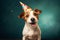 Ai generative. Jack russel terrier dog with a party hat