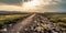 AI generative panoramic image of the road full of trash and garbage