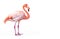 Ai generative. Pink flamingo bird on white