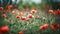 Ai generative. Poppy flowers field