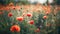 Ai generative. Poppy flowers field