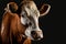 Ai generative portrait of a brown cow