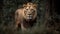 Ai Generative Portrait of a lion in the forest. Wildlife scene from nature. Lion in the jungle