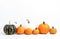 Ai generative. Pumpkins against white background