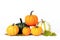 Ai generative. Pumpkins against white background