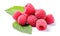 AI generative. Raspberry berries with green leaf on white