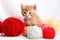 AI generative. Small red kitten is played with a ball of yarn