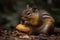 Ai Generative Squirrel eating a hamburger in the forest. Close-up