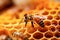 Ai generative. Working bee on honeycombs