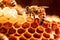 Ai generative. Working bee on honeycombs