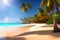 ai generator, artificial intelligence, neural network image. sandy seashore, ocean, palm trees, sun, summer vacation.
