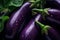 AI illustration of a close-up shot of a stack of fresh eggplants.