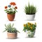 AI illustration. Collection of indoor plants, in ceramic pots, on white background