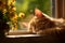 AI illustration of A domestic feline resting on a sunny window sill.