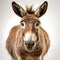 An AI illustration of an donkey is smiling on a plain, white background,